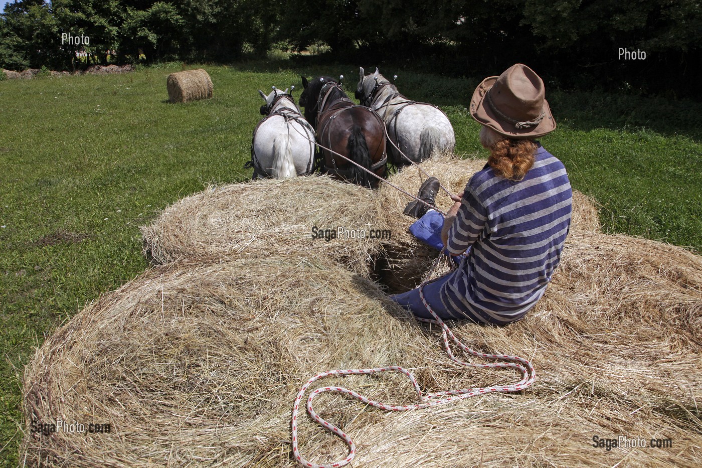 Photo De RAMASSAGE DES BALLES RONDES DE FOIN TRAVAIL DES CHAMPS AVEC