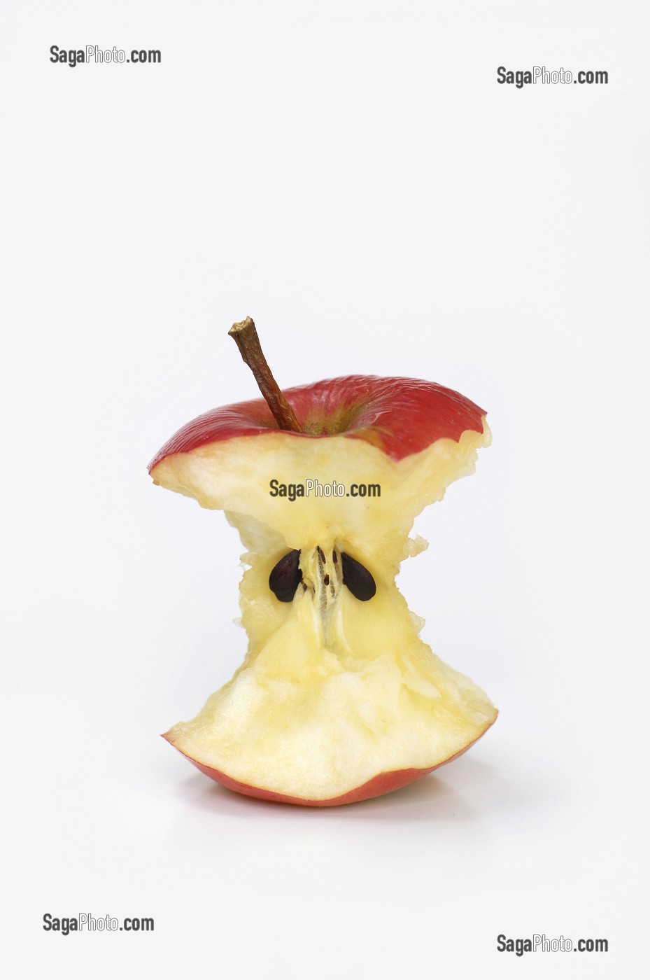 photo de TROGNON DE POMME, FRUIT D’AUTOMNE