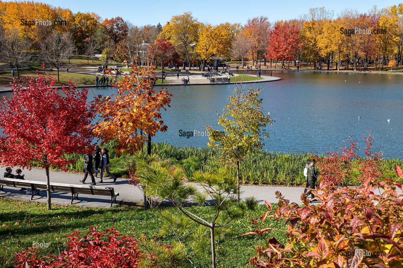 photo de BALADE AUTOUR DU LAC AUX CASTORS, PARC DU MONTROYAL AUX