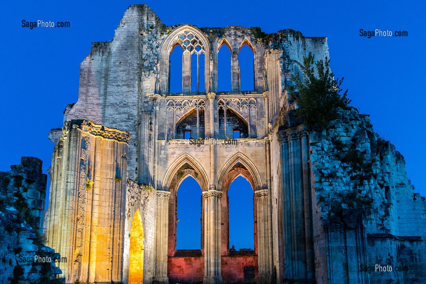 Ruines de l'Abbaye Saint-Bertin, Saint-Omer