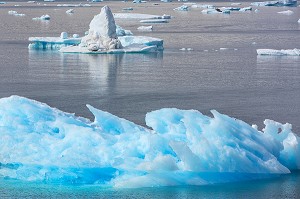 ICEBERGS FLOTTANTS DETACHES DES LANGUES GLACIERES, FJORD DE LA BAIE DE NARSAQ, GROENLAND 