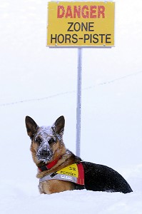 CHIEN D'AVALANCHE SAPEURS-POMPIERS DEVANT UN PANNEAU DANGER 'ZONE HORS PISTE', SDIS DES PYRENEES-ATLANTIQUES (64), FRANCE 