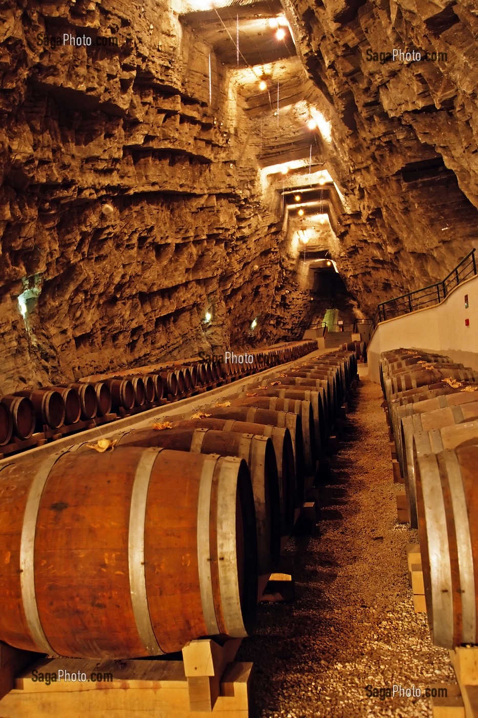 TERROIR DE SIGEAN, TERRA VINEA, PORTEL, REGION DES VINS DE CORBIERES, AUDE (11), FRANCE 