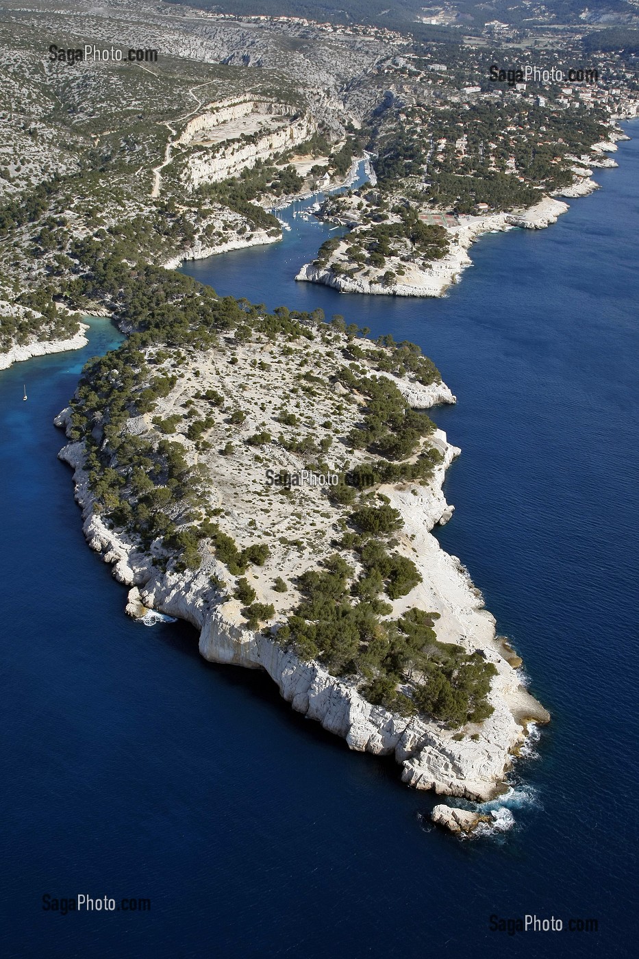 VUE AERIENNE DES CALANQUES DE PORT PIN (PREMIER PLAN) ET DE PORT-MIOU (AU FOND), CASSIS, BOUCHES-DU-RHONE (13), FRANCE 