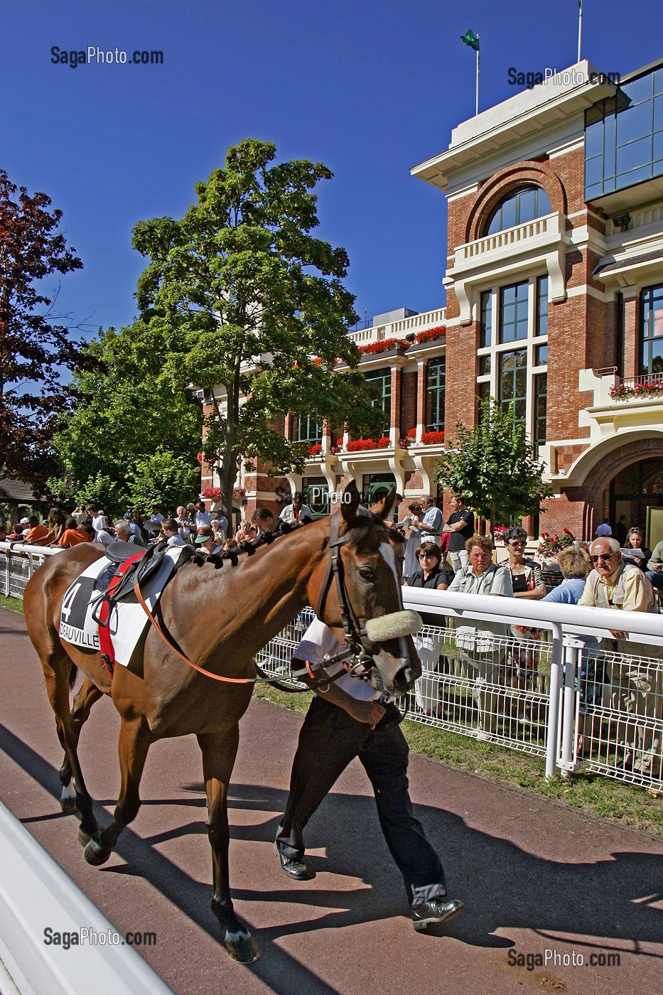 PRESENTATION DES CHEVAUX, HIPPODROME DE DEAUVILLE - LA TOUQUES, DEAUVILLE, CALVADOS (14), NORMANDIE, FRANCE 