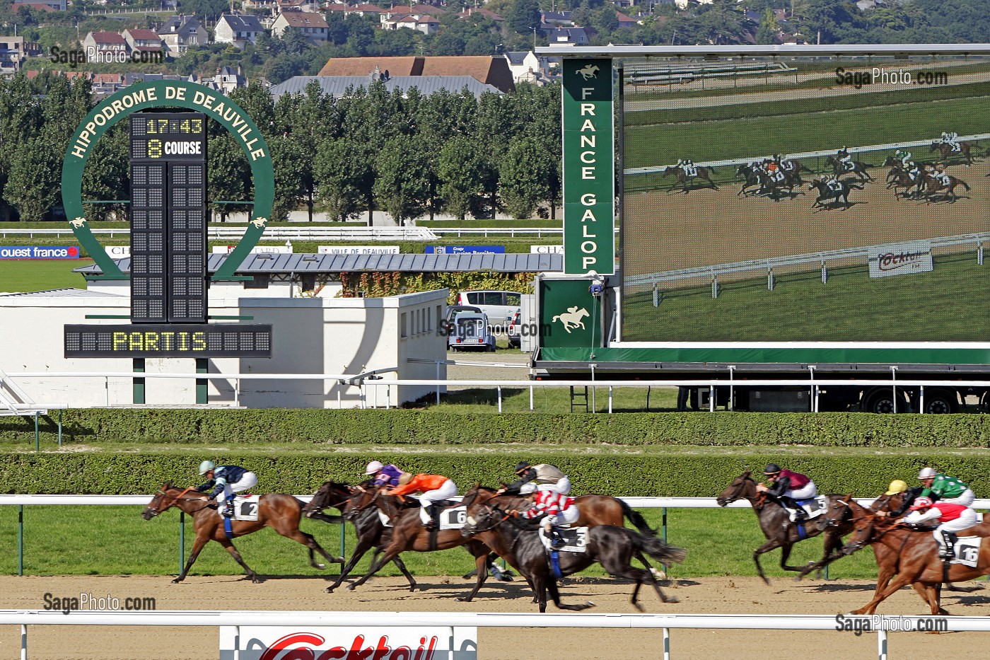 CHAMP DE COURSES, HIPPODROME DE DEAUVILLE - LA TOUQUES, DEAUVILLE, CALVADOS (14), NORMANDIE, FRANCE 