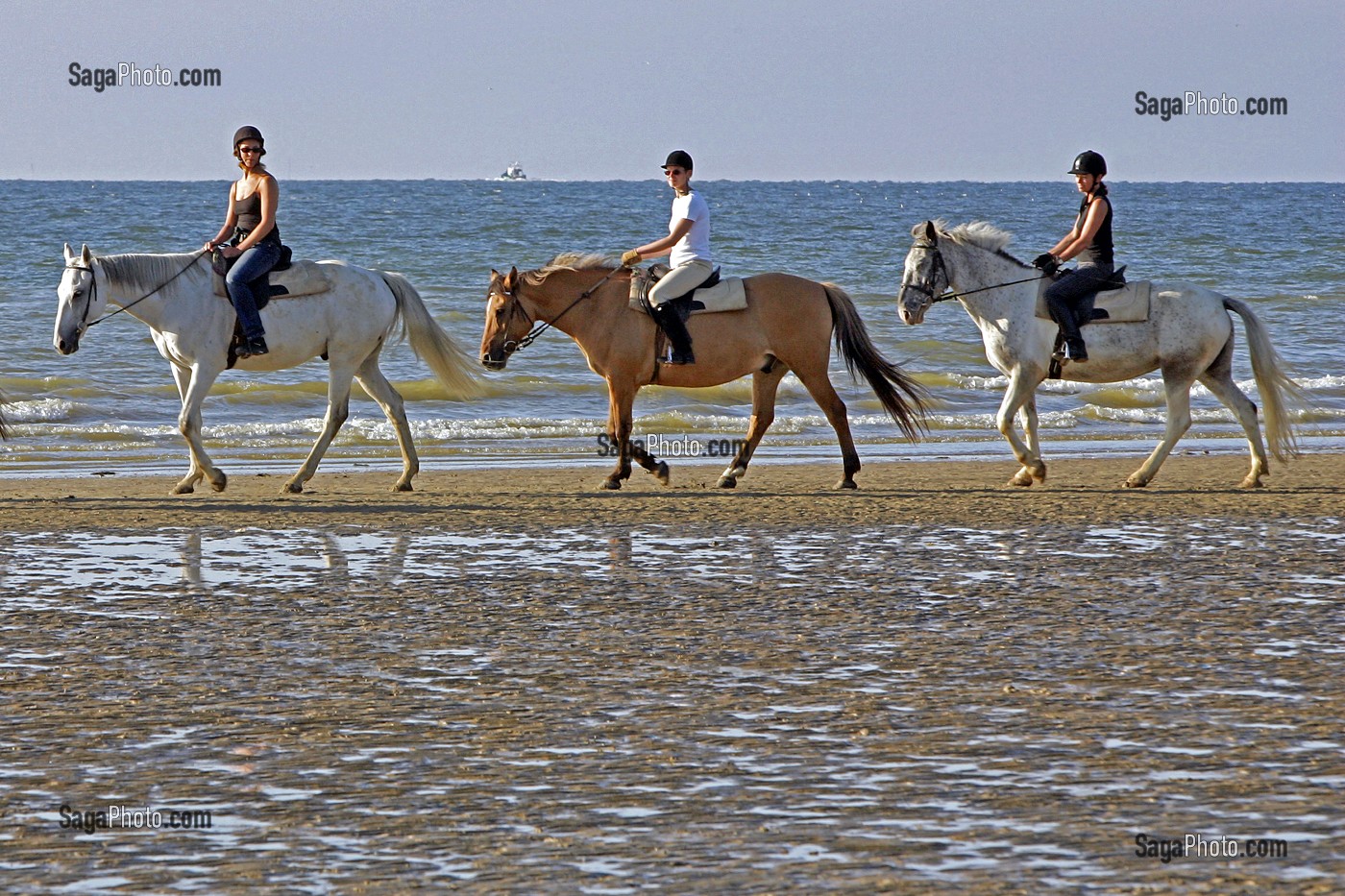 BALADE A CHEVAL SUR LA PLAGE, CENTRE EQUESTRE, ECOLE D'EQUITATION DES LAIS DE MER, DEAUVILLE, CALVADOS (14), NORMANDIE, FRANCE 
