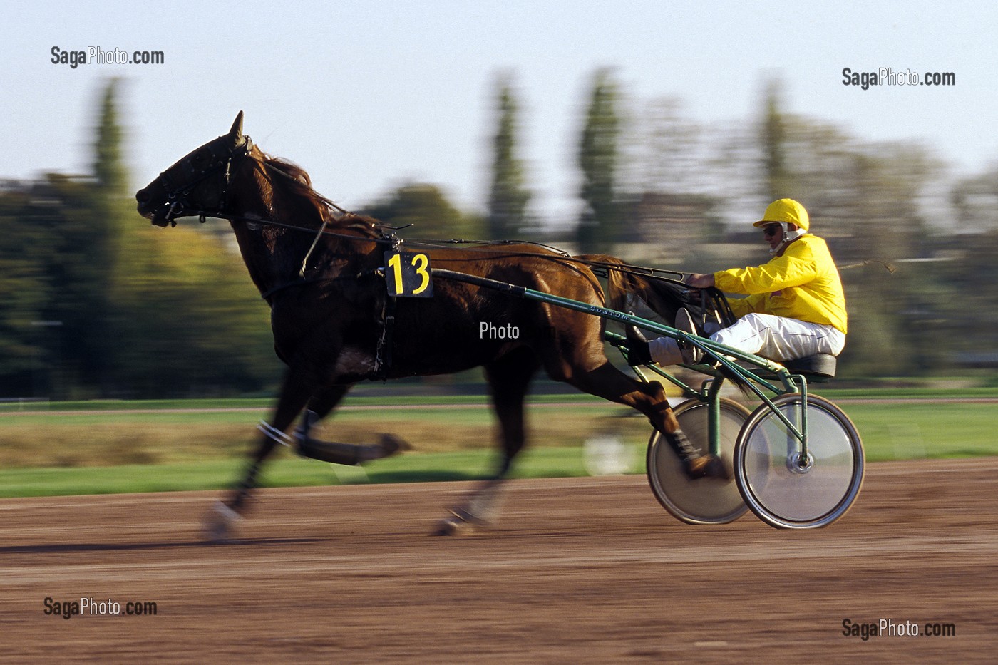 COURSE DE TROT SUR L'HIPPODROME DE CAEN, CALVADOS (14), NORMANDIE, FRANCE 