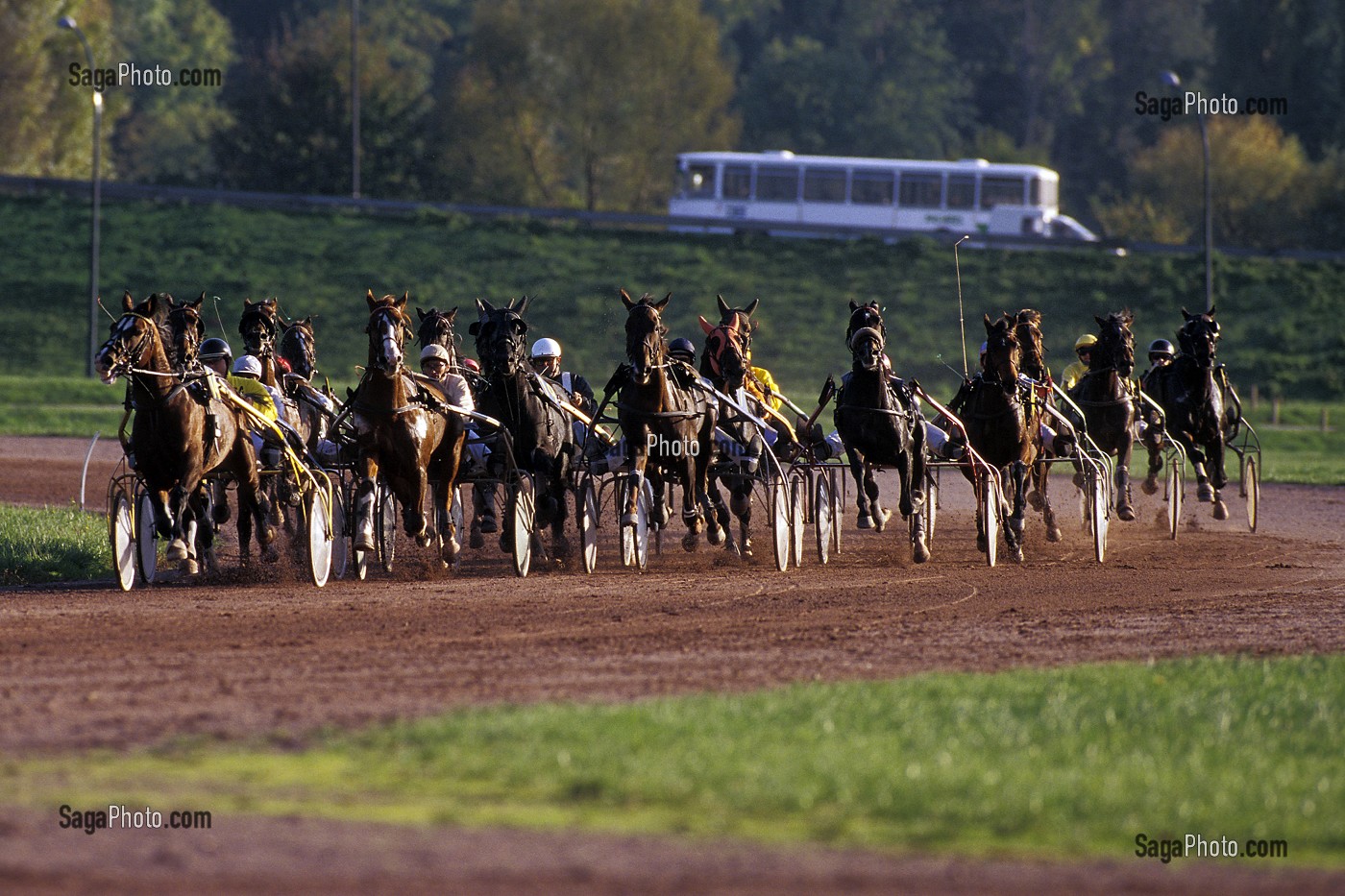 COURSE DE TROT SUR L'HIPPODROME DE CAEN, CALVADOS (14), NORMANDIE, FRANCE 
