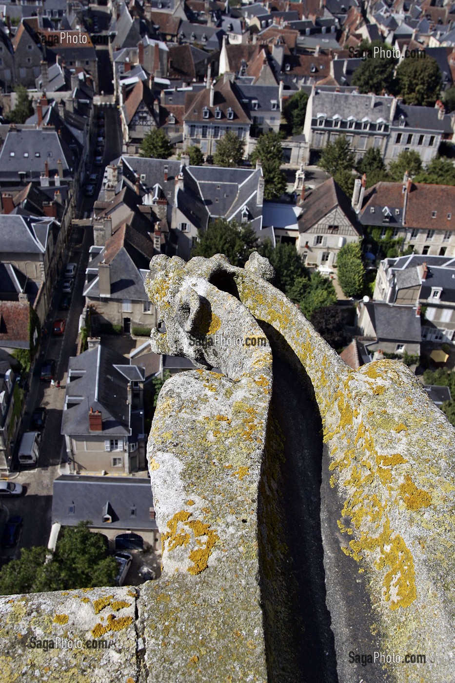 GARGOUILLE, CATHEDRALE, BOURGES, CHER (18), FRANCE 