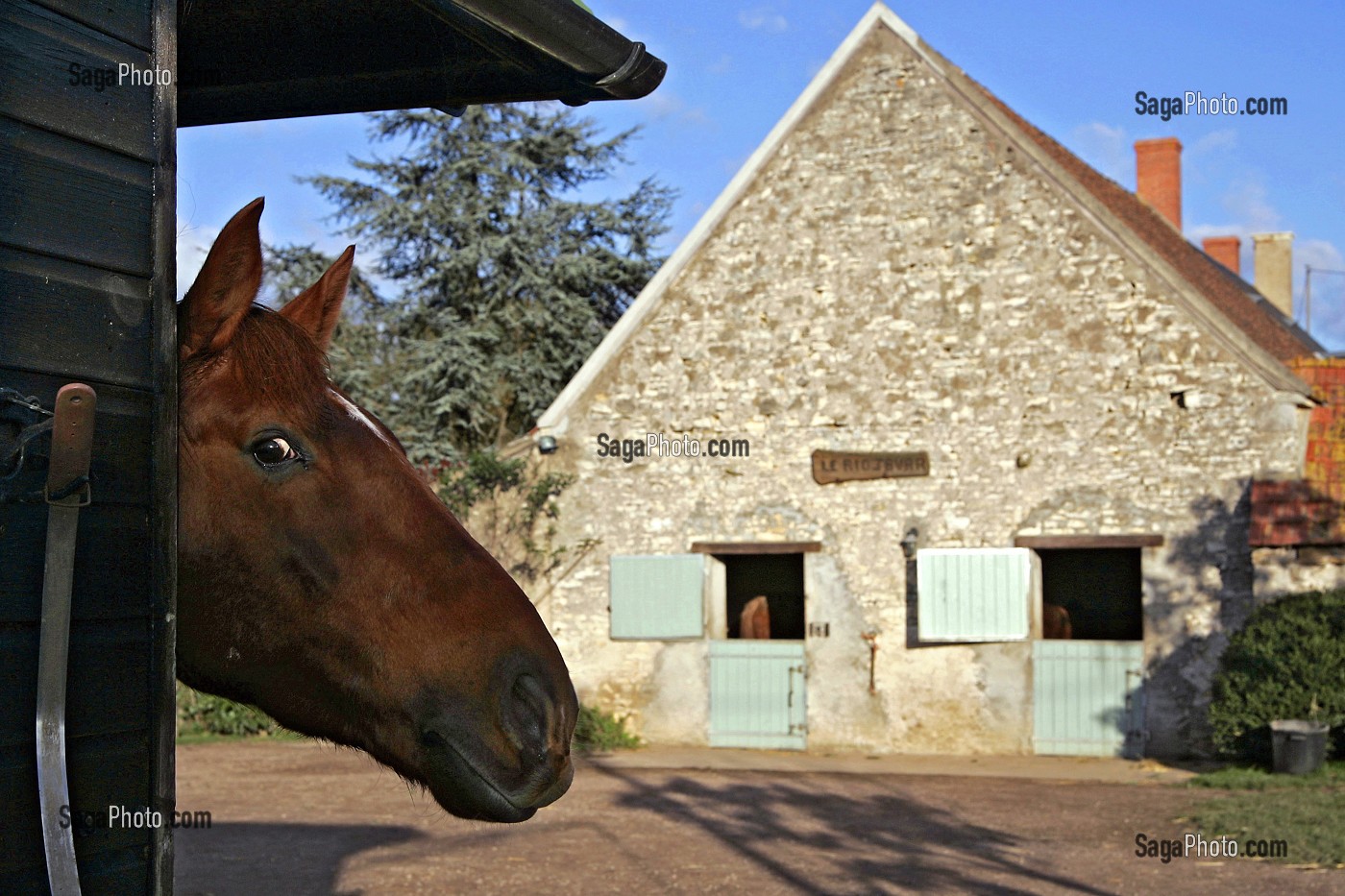 CENTRE EQUESTRE, RIO JAVAR, FARGES-ALLICHAMPS, CHER (18), FRANCE 