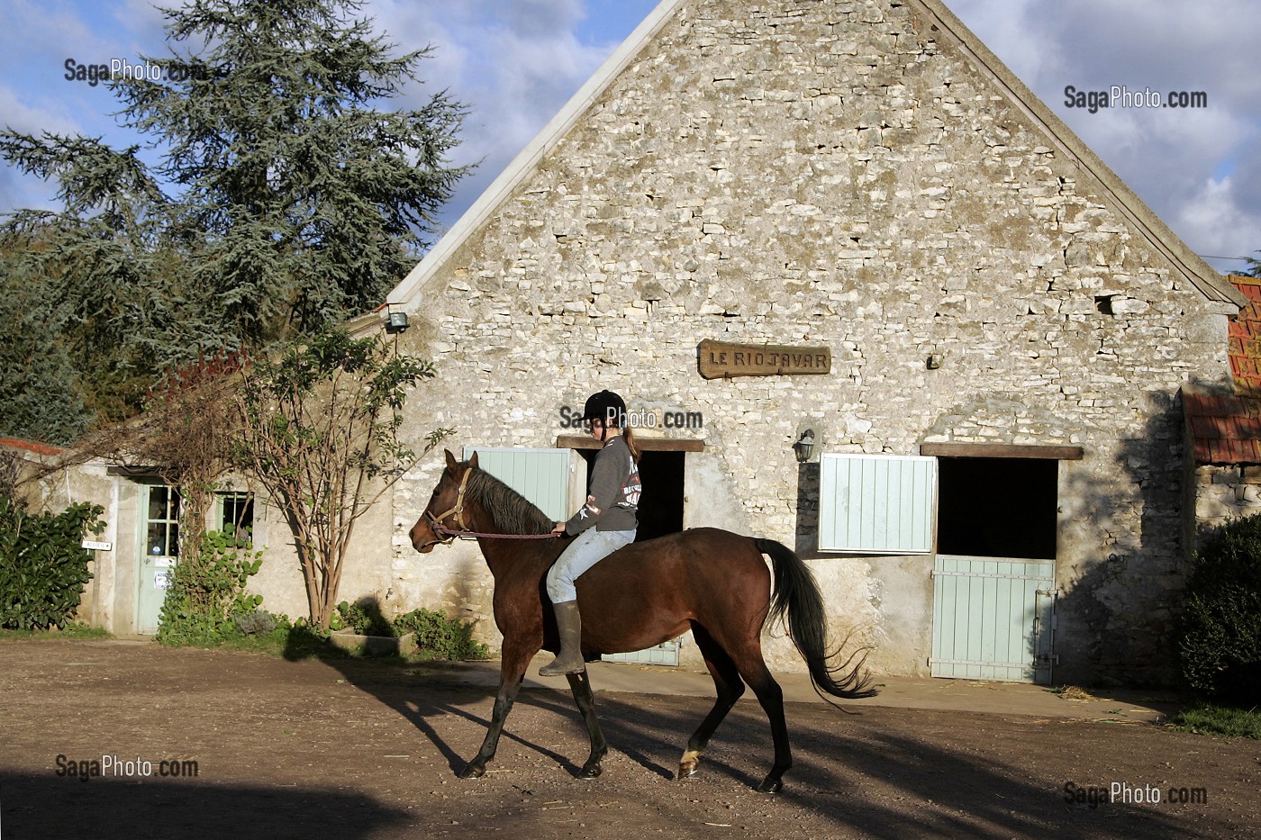 CENTRE EQUESTRE, RIO JAVAR, FARGES-ALLICHAMPS, CHER (18), FRANCE 