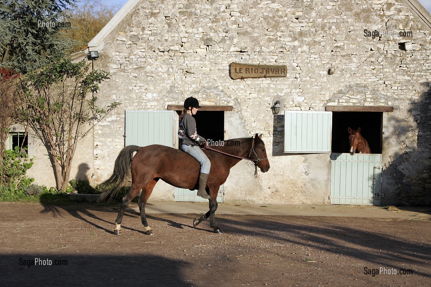 CENTRE EQUESTRE, RIO JAVAR, FARGES-ALLICHAMPS, CHER (18), FRANCE 