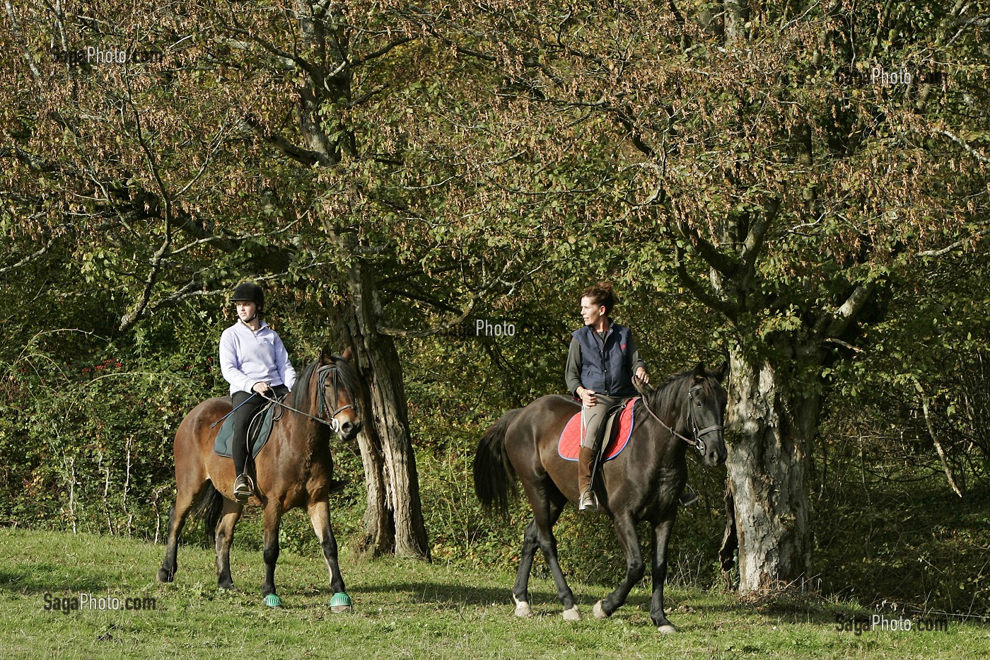 CENTRE EQUESTRE DE LA CAVALE,  VIERZON, CHER (18), FRANCE 