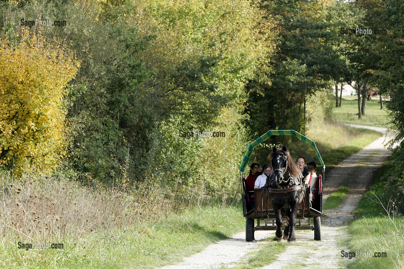 BALADE EN CALECHE, CENTRE EQUESTRE DE LA CAVALE,  VIERZON, CHER (18), FRANCE 