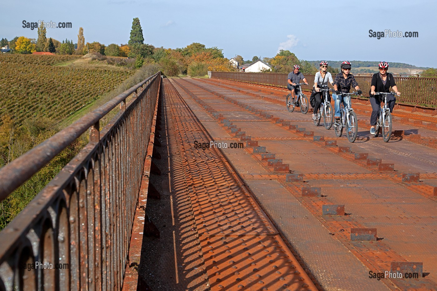 CYCLISTES ENTRE AMIS EN BALADE SUR LE VIADUCT DE MENETREOL-SOUS-SANCERRE AU MILIEU DES VIGNES DE SANCERRE EN AUTOMNE, ITINERAIRE DE LA LOIRE A VELO, CHER (18), FRANCE 