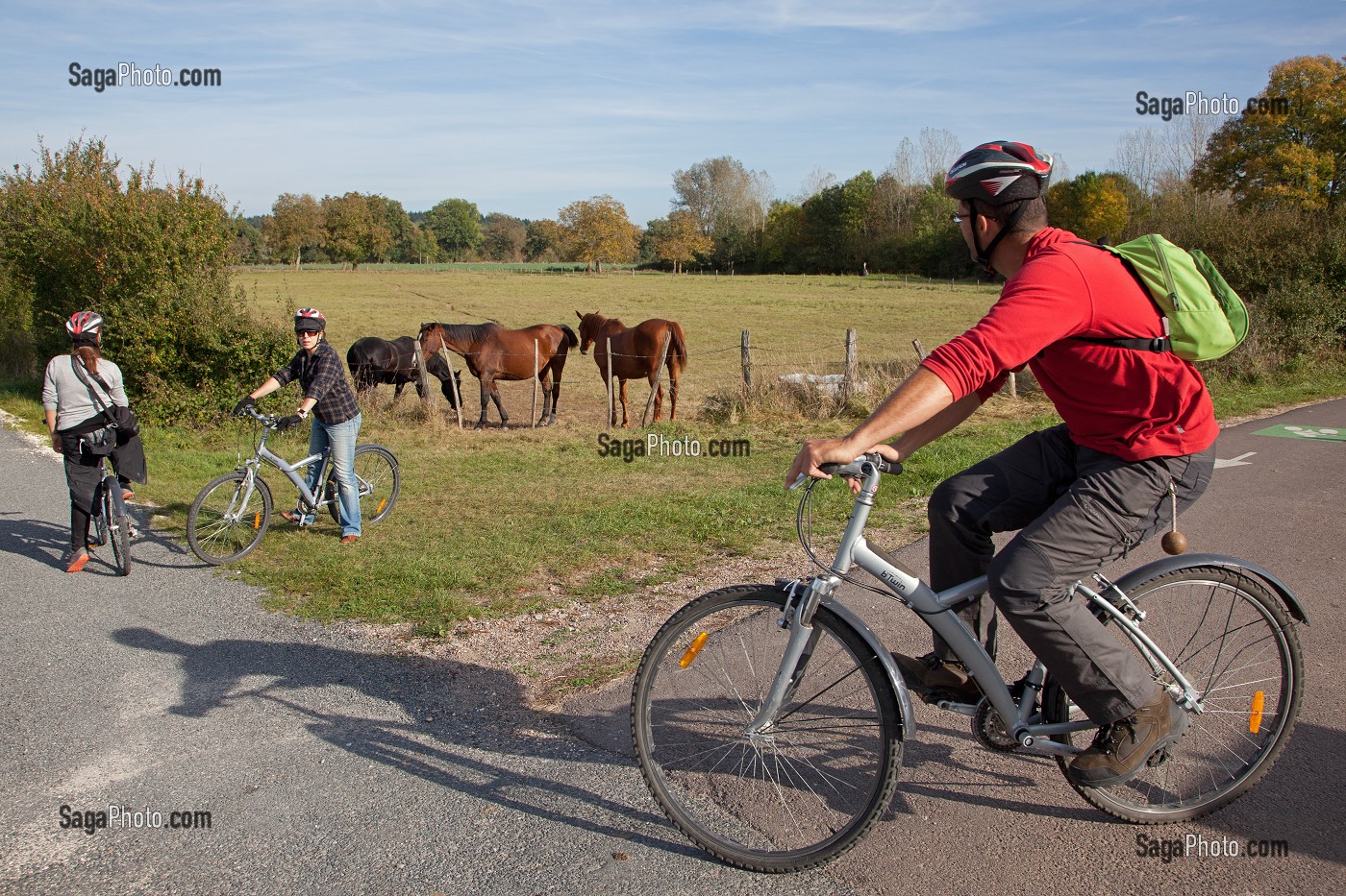 CYCLISTES ENTRE AMIS EN BALADE DEVANT DES CHEVAUX AU PRE, MENETREOL-SOUS-SANCERRE, ITINERAIRE DE LA LOIRE A VELO, CHER (18), FRANCE 