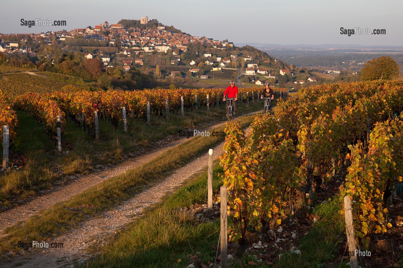 BALADE A VELO DANS LES VIGNES DEVANT LE VILLAGE DE SANCERRE, ITINERAIRE DE LA LOIRE A VELO, CHER (18), FRANCE 