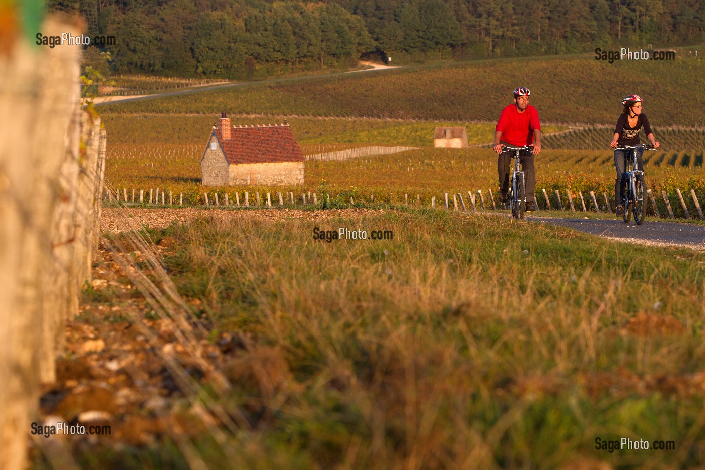 COUPLE DE CYCLISTES EN BALADE DANS LES VIGNES ET CABANES DE VIGNERON SUR LA ROUTE DES VIGNOBLES, ITINERAIRE DE LA LOIRE A VELO, SANCERRE, CHER (18), FRANCE 