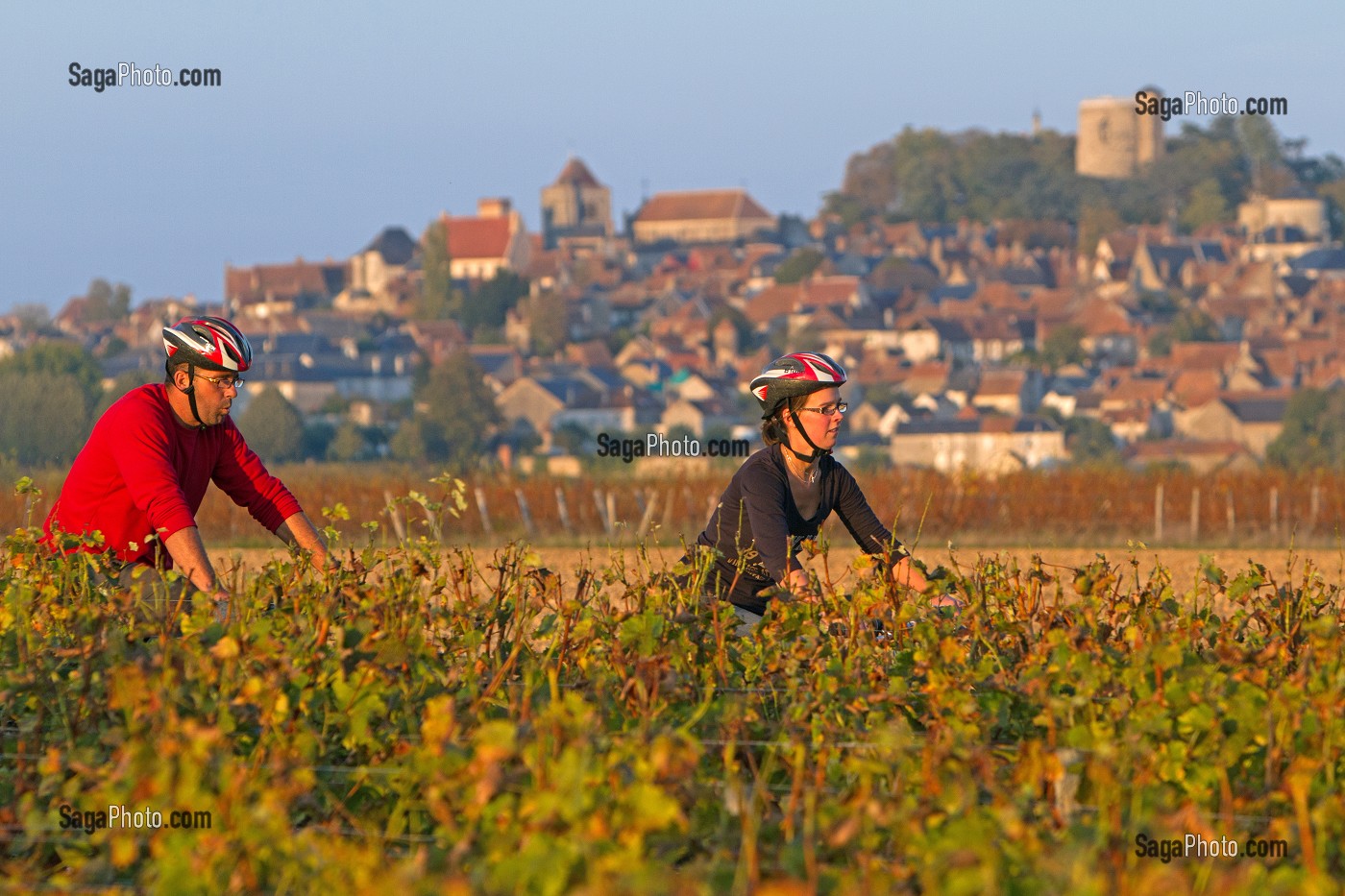 BALADE A VELO DANS LES VIGNES DEVANT LE VILLAGE DE SANCERRE, ITINERAIRE DE LA LOIRE A VELO, CHER (18), FRANCE 