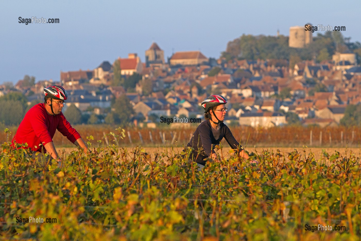 BALADE A VELO DANS LES VIGNES DEVANT LE VILLAGE DE SANCERRE, ITINERAIRE DE LA LOIRE A VELO, CHER (18), FRANCE 