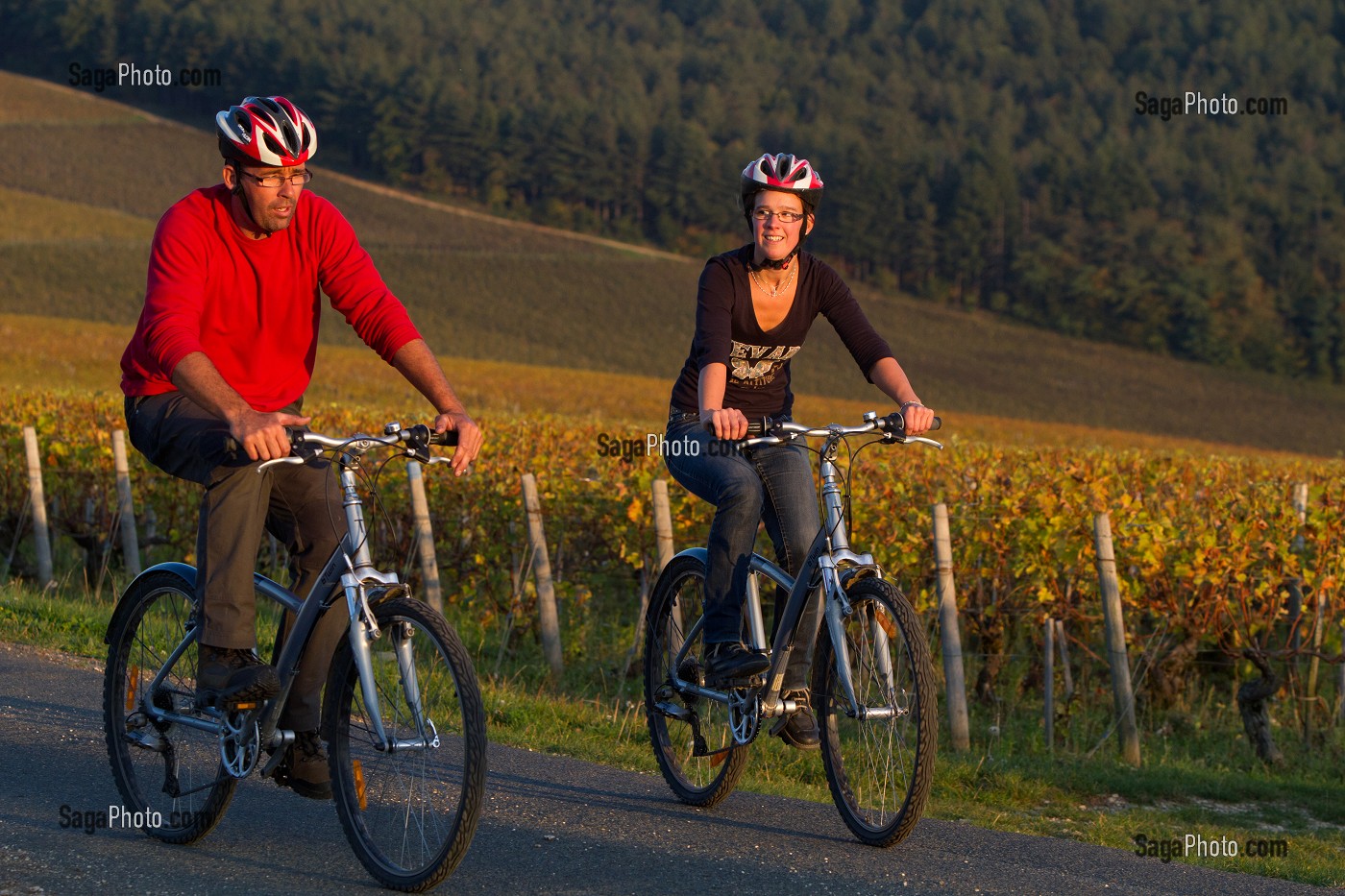 COUPLE EN BALADE A VELO DANS LES VIGNES AUX COULEURS D'AUTOMNE, ITINERAIRE DE LA LOIRE A VELO, CHER (18), FRANCE 