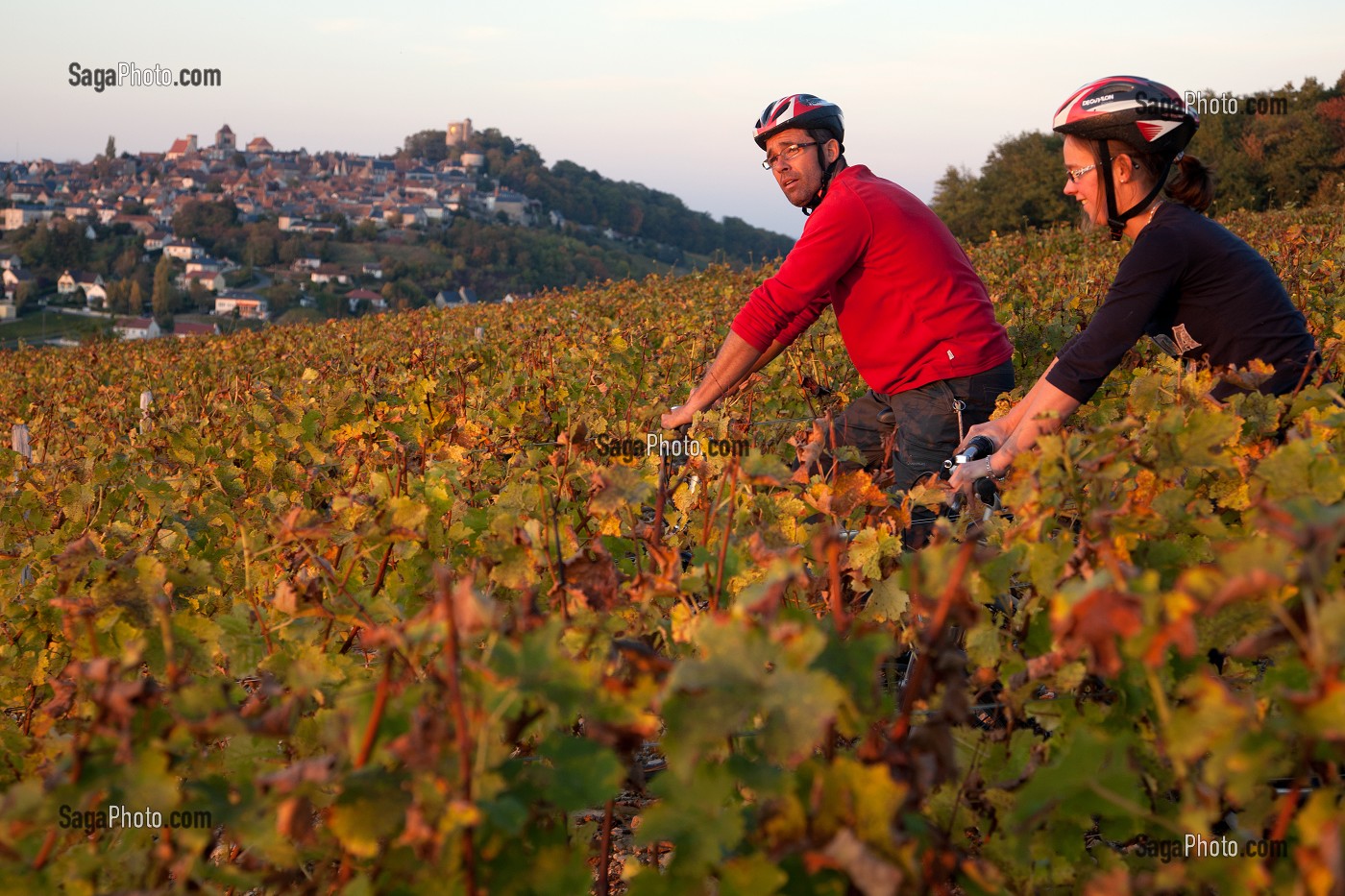 BALADE A VELO DANS LES VIGNES DEVANT LE VILLAGE DE SANCERRE, ITINERAIRE DE LA LOIRE A VELO, CHER (18), FRANCE 