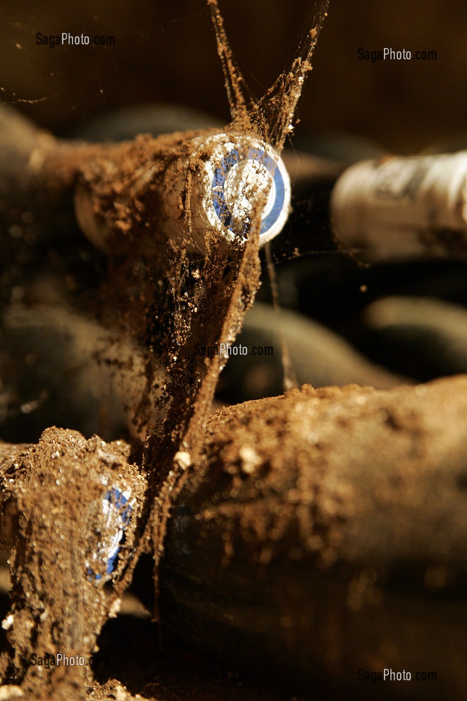VIELLES BOUTEILLES DE VINS DE BOURGOGNE, CAVE DU VILLAGE DE MEURSAULT, COTE D'OR (21), FRANCE 