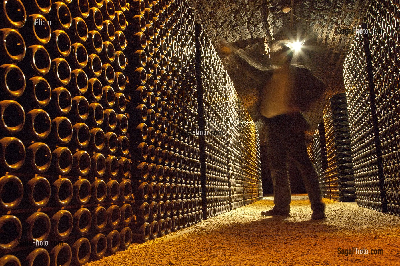 CAVE A VIN DU CHATEAU DE POMMARD, ROUTE DES GRANDS CRUS DE BOURGOGNE, POMMARD, COTE D’OR (21), FRANCE 