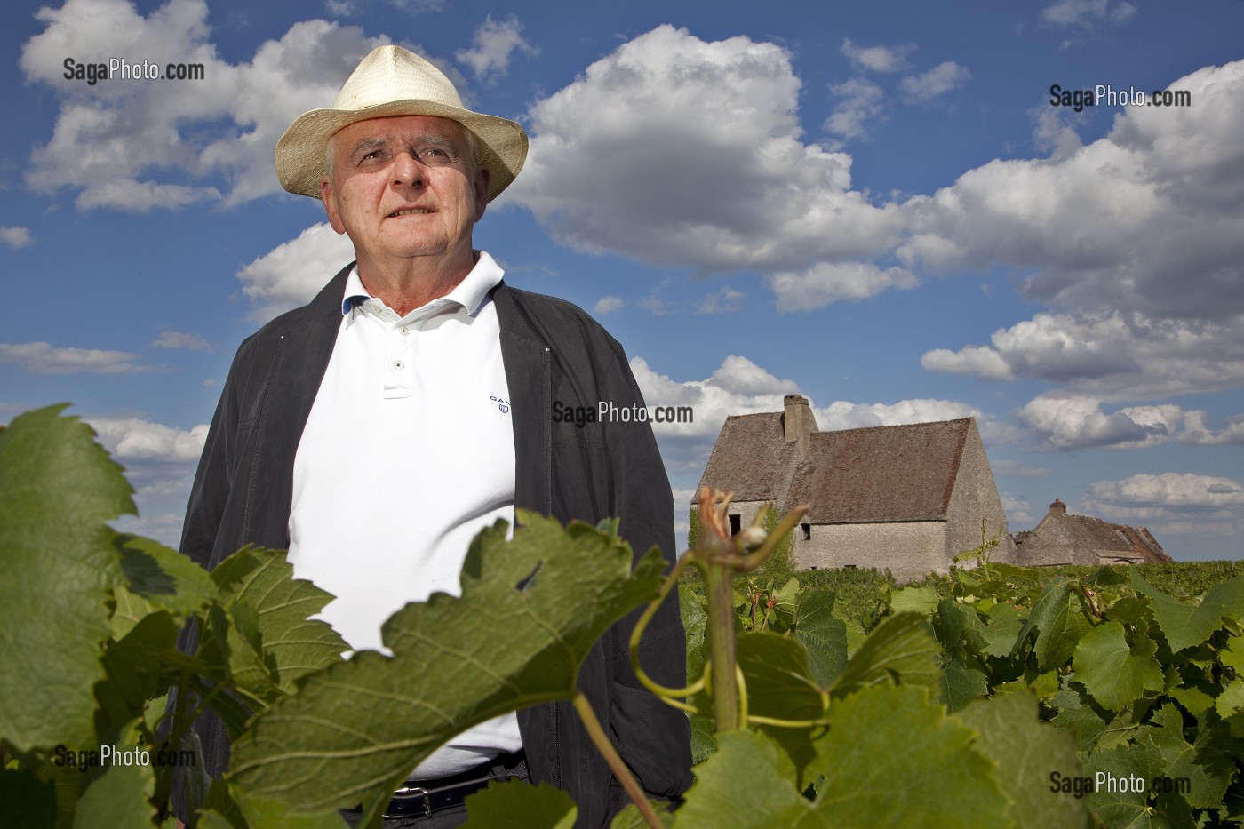 OLIVIER LEFLAIVE, VIGNERON ET RESTAURATEUR DANS SES VIGNES, ROUTE DES GRANDS CRUS DES VINS DE BOURGOGNE, CHASSAGNE-MONTRACHET, COTE D'OR (21), FRANCE