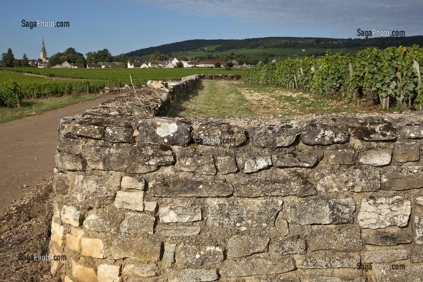MRET EN PIERRES DEVANT LES VIGNES ET PARCELLES DE VOLNAY, ROUTE DES GRANDS CRUS DES VINS DE BOURGOGNE, COTE D'OR (21), FRANCE