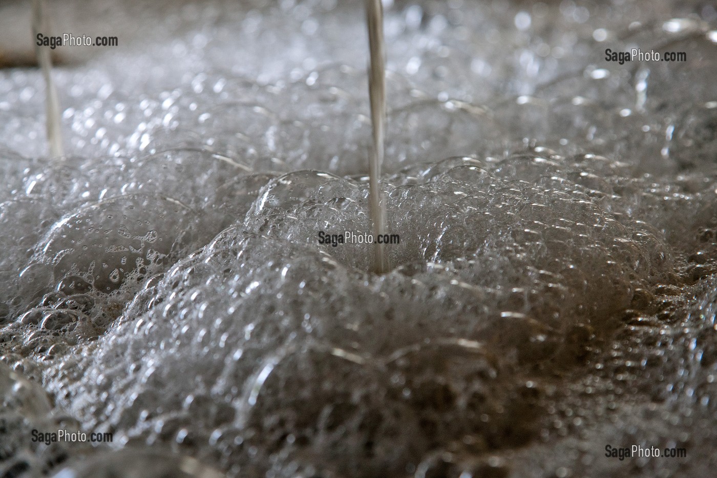 JUS OBTENU APRES PRESSAGE DES GRAPPES DE RAISIN, RECEPTION DE LA VENDANGE AU CHAI, VINIFICATION, CEPAGE PINOT NOIR, DOMAINE PRIVE DU CHATEAU DE POMMARD, COTE-D’OR (21), BOURGOGNE, FRANCE 