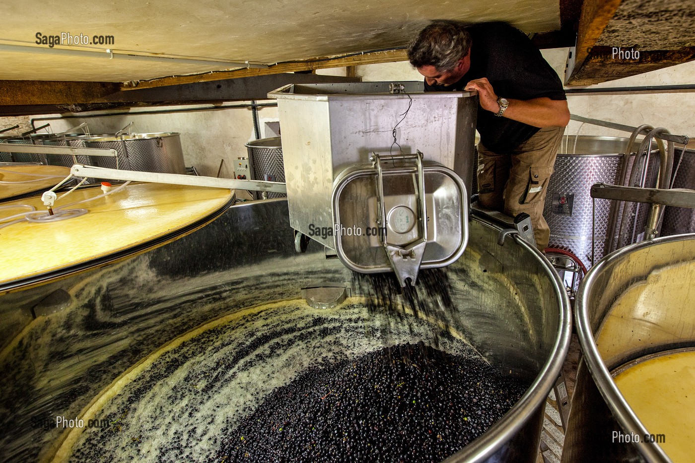 REMPLISSAGE DES CUVES DE STOCKAGE, RECEPTION DE LA VENDANGE AU CHAI, VINIFICATION, CEPAGE PINOT NOIR, DOMAINE PRIVE DU CHATEAU DE POMMARD, COTE-D’OR (21), BOURGOGNE, FRANCE 