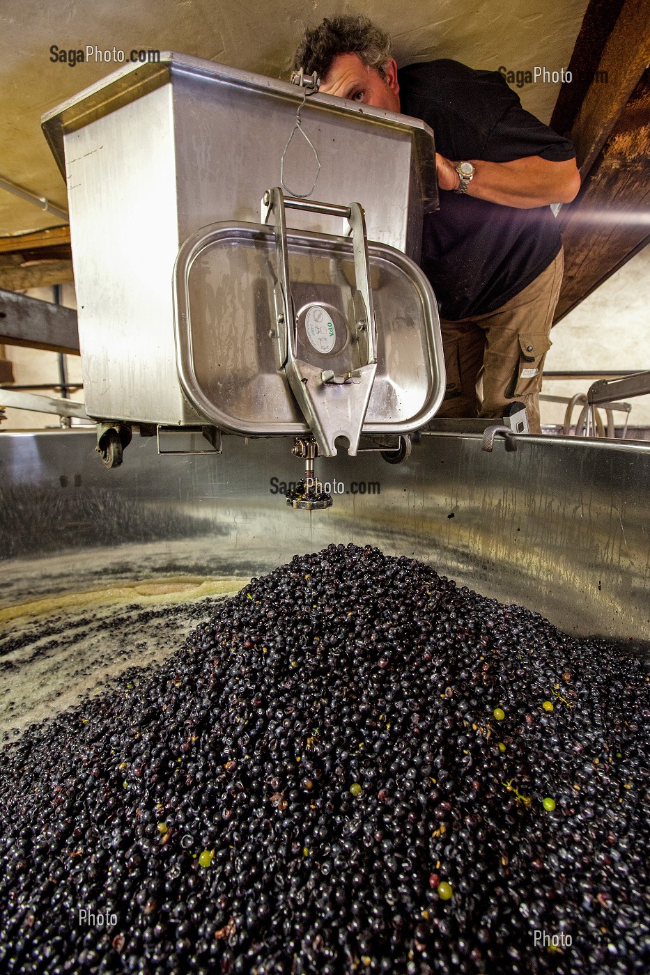 REMPLISSAGE DES CUVES DE STOCKAGE, RECEPTION DE LA VENDANGE AU CHAI, VINIFICATION, CEPAGE PINOT NOIR, DOMAINE PRIVE DU CHATEAU DE POMMARD, COTE-D’OR (21), BOURGOGNE, FRANCE 
