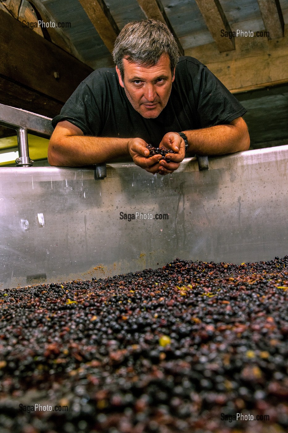 EMMANUEL SALA, MAITRE DE CHAI, DOMAINE VINICOLE DU CHATEAU DE POMMARD, COTE D'OR (21), BOURGOGNE, FRANCE 