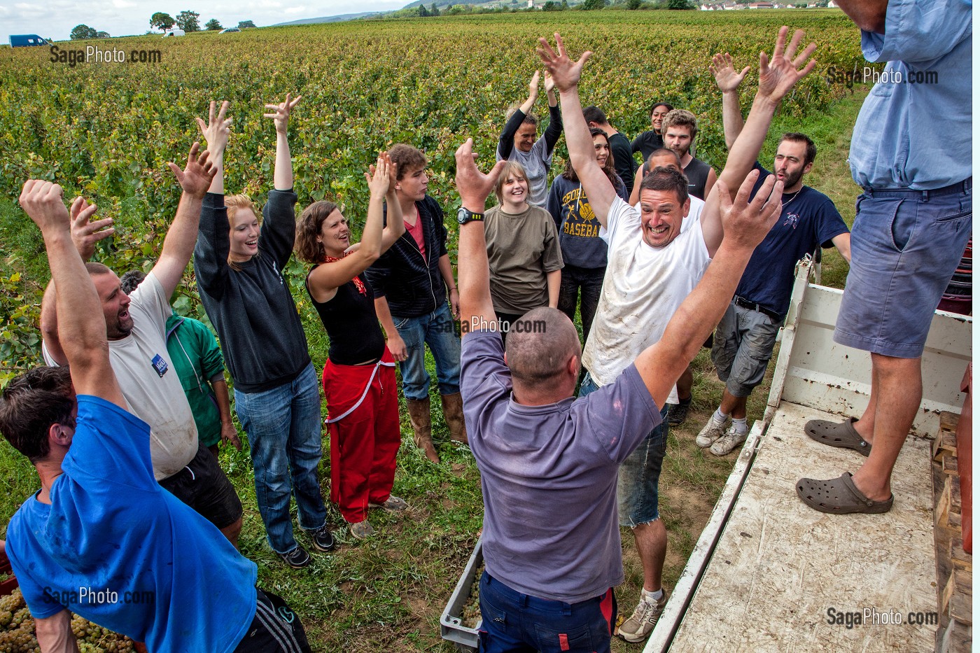 BAN BOURGUIGNON DANS LES VIGNES, FETE TRADITIONNELLE DU DERNIER JOUR DE VENDANGES MANUELLES, BOURGOGNE BLANC, DOMAINE VITICOLE HUBER-VERDEREAU, VOLNAY, COTE-D’OR (21), BOURGOGNE, FRANCE 