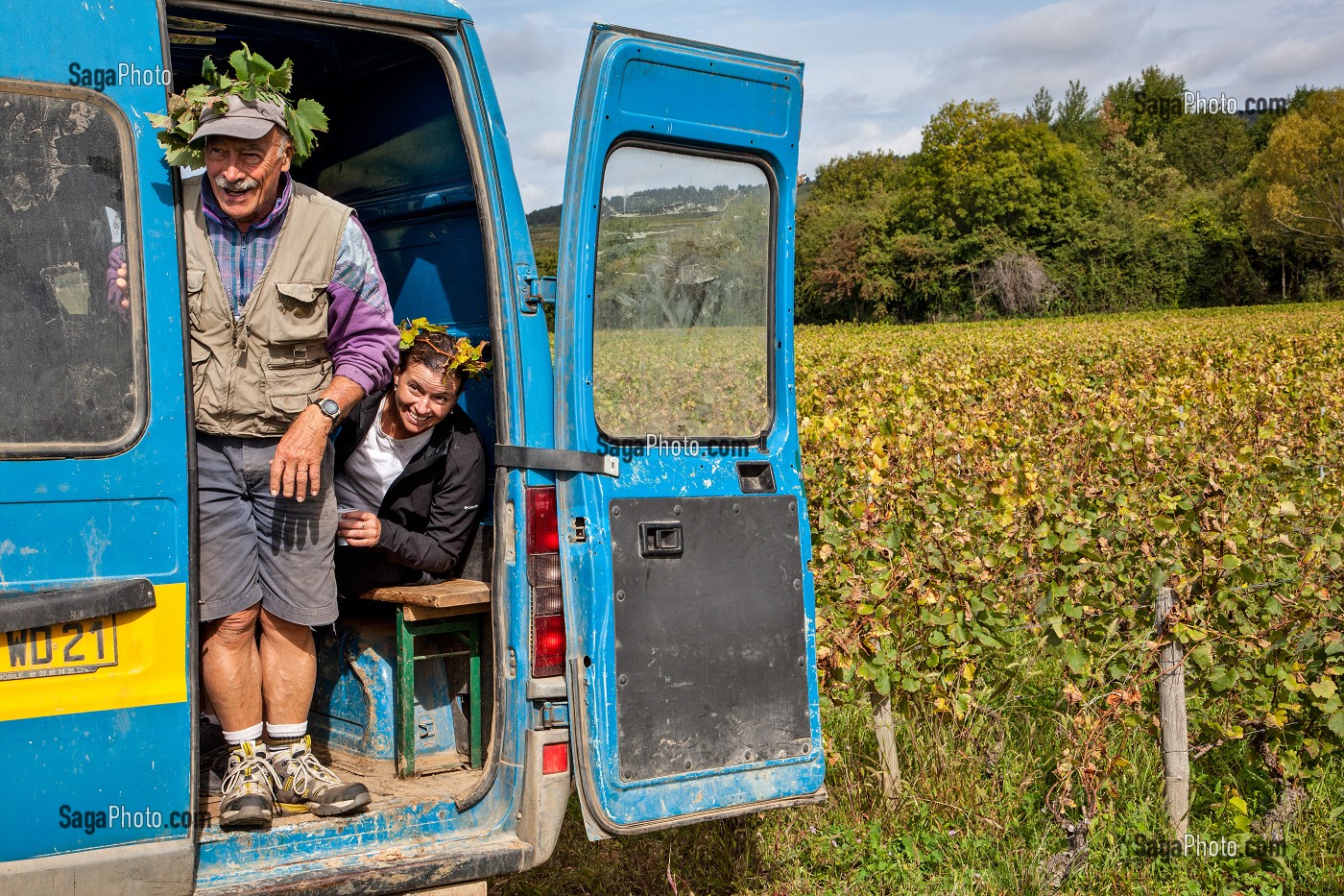 BAN BOURGUIGNON DANS LES VIGNES, FETE TRADITIONNELLE DU DERNIER JOUR DE VENDANGES MANUELLES, BOURGOGNE BLANC, DOMAINE VITICOLE HUBER-VERDEREAU, VOLNAY, COTE-D’OR (21), BOURGOGNE, FRANCE 