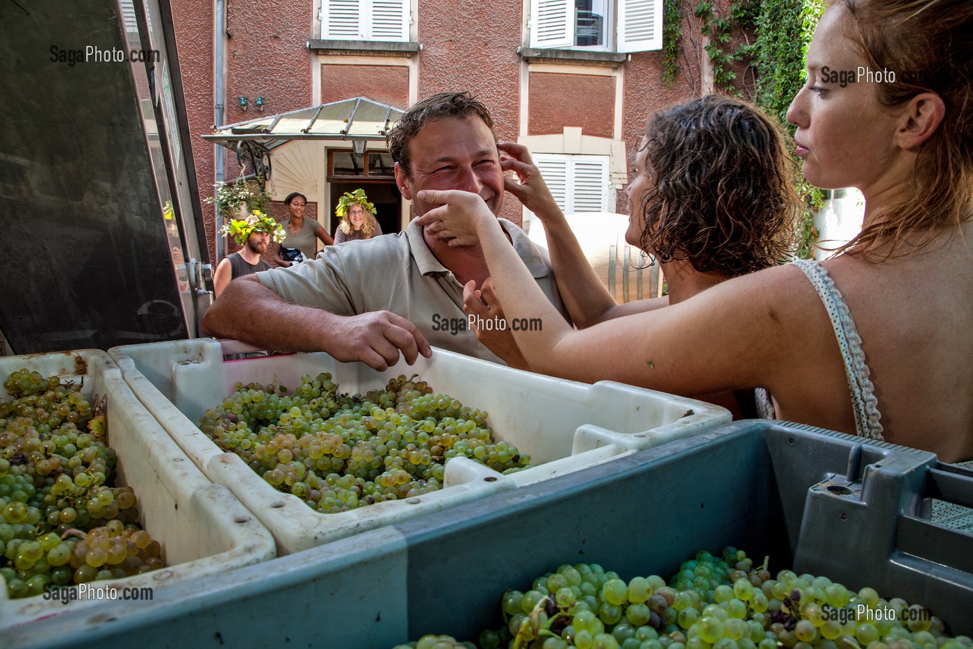 THIEBAULT HUBER, EXPLOITANT VITICULTEUR DU DOMAINE HUBER-VERDEREAU, LE DERNIER JOUR DES VENDANGES, VOLNAY, COTE D'OR (21), BOURGOGNE, FRANCE 