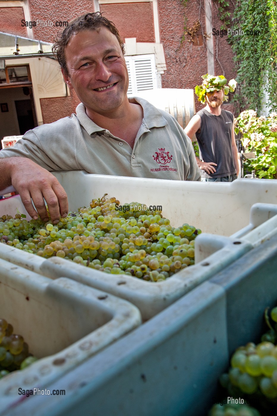 THIEBAULT HUBER, EXPLOITANT VITICULTEUR DU DOMAINE HUBER-VERDEREAU, LE DERNIER JOUR DES VENDANGES, VOLNAY, COTE D'OR (21), BOURGOGNE, FRANCE 