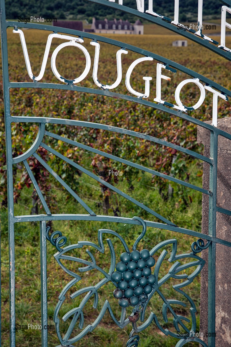 PORTAIL, DOMAINE VITICOLE DU CLOS DE VOUGEOT, CEPAGE PINOT NOIR, COTE D’OR (21), BOURGOGNE, FRANCE 