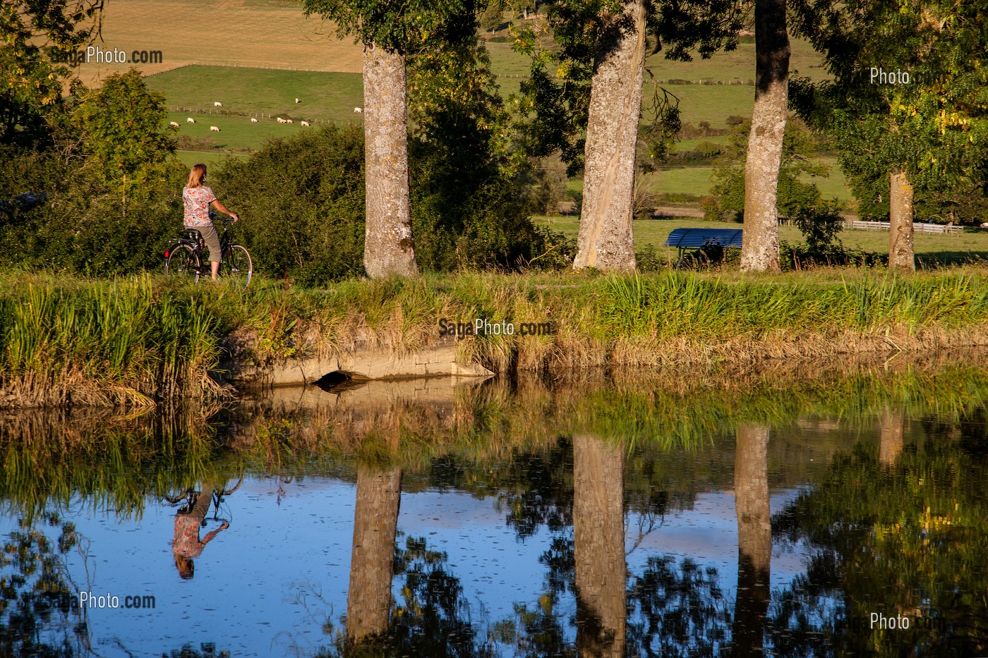 CYCLISTE SE PROMENANT SUR LE CHEMIN DE HALAGE, CANAL DE BOURGOGNE, VANDENESSE-EN-AUXOIS, COTE D’OR (21), BOURGOGNE, FRANCE 