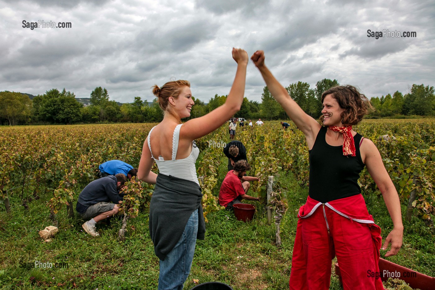 VENDANGEUSES AYANT TERMINE LEUR RANG EN PREMIER, FETE TRADITIONNELLE DU DERNIER JOUR DE VENDANGES MANUELLES, BOURGOGNE BLANC, DOMAINE VITICOLE HUBER-VERDEREAU, VOLNAY, COTE-D’OR (21), BOURGOGNE, FRANCE 