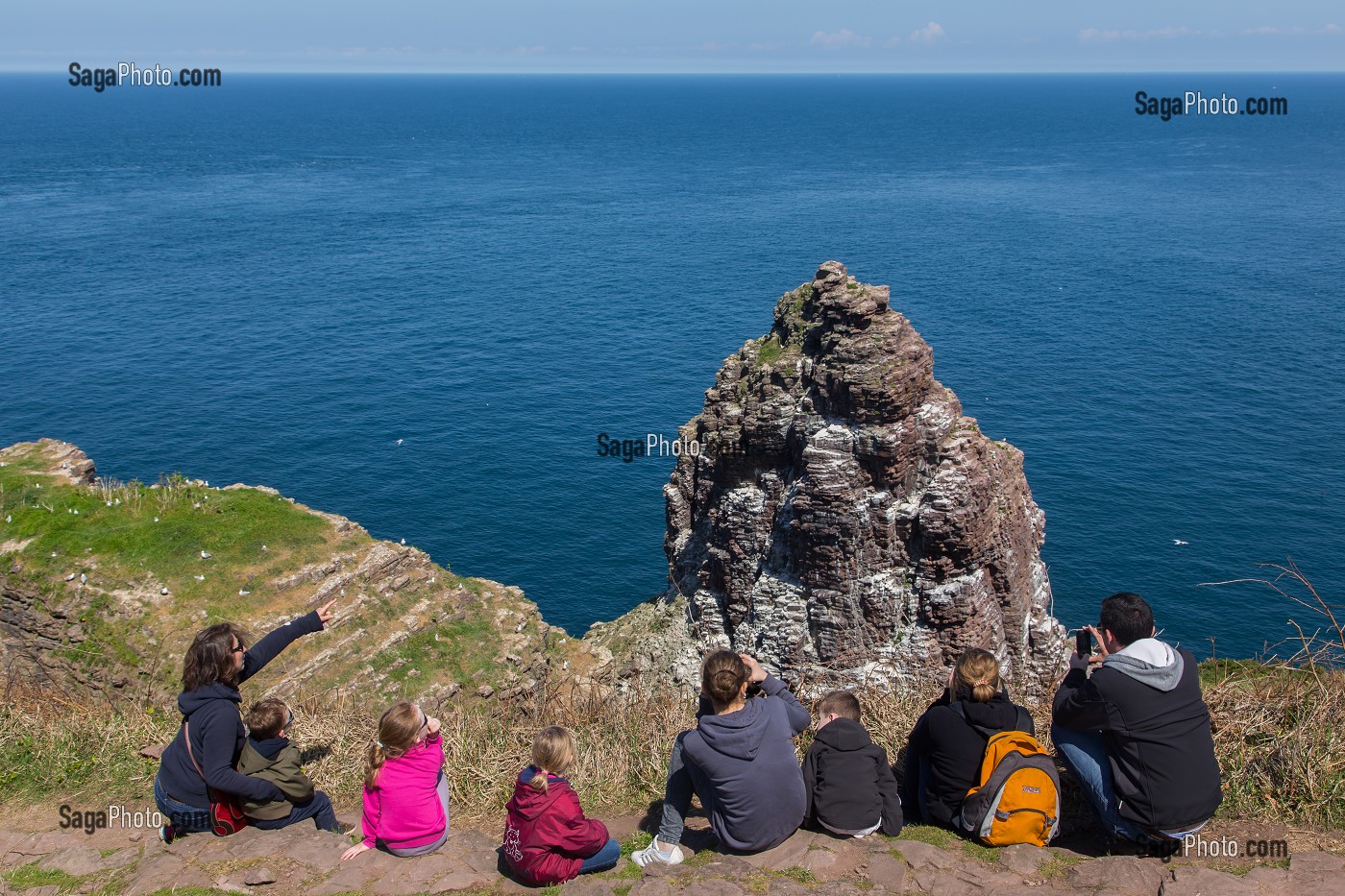 SITE D'EXCEPTION, LE CAP FREHEL ET SES FALAISES DE GRES ROSE ET DE SCHISTE, DOMINE LA MER A PLUS DE 70M DE HAUTEUR, PLEVENON, (22) COTES-D’ARMOR, BRETAGNE, FRANCE 