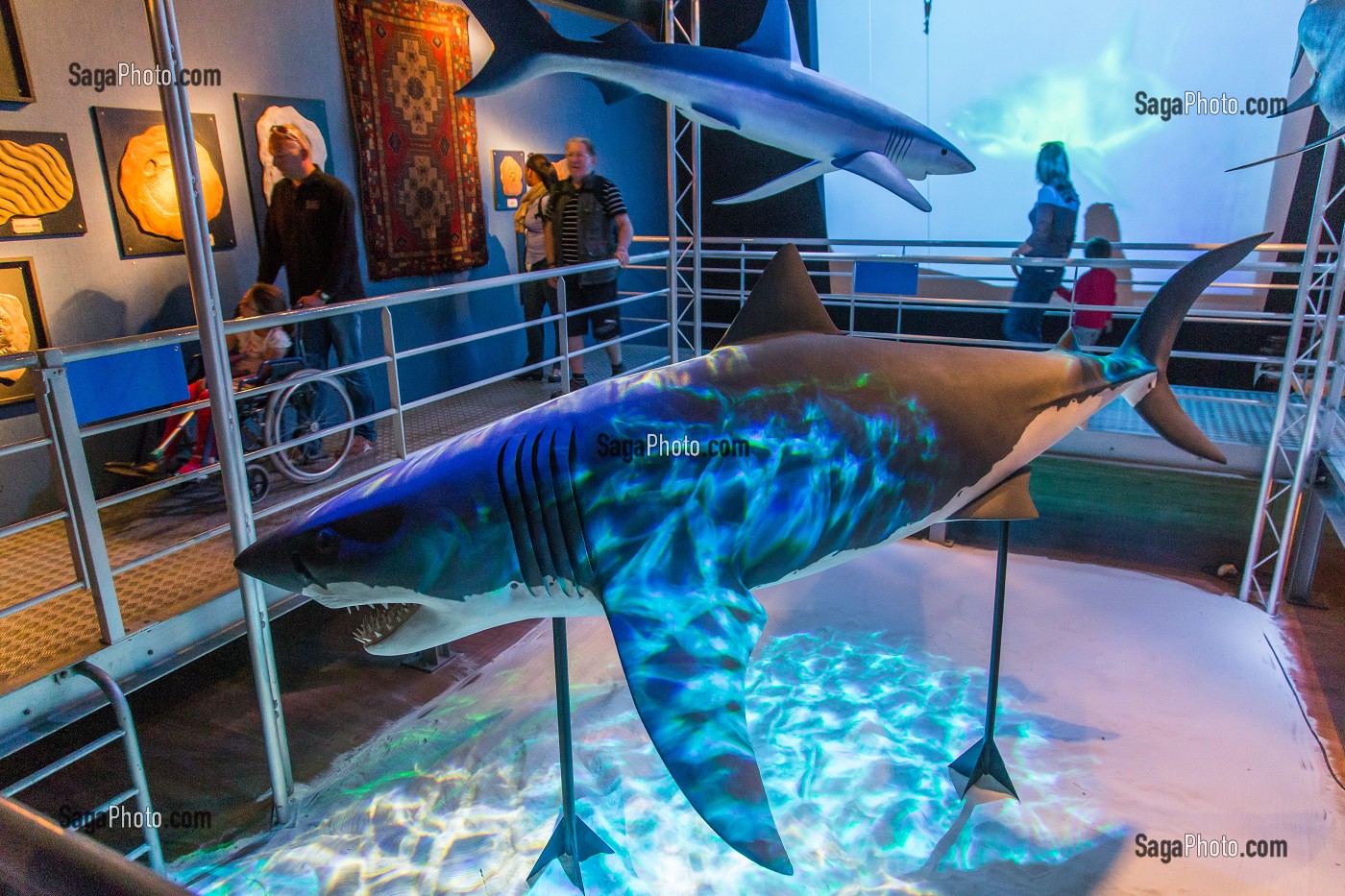 VUE INTERIEURE DU GRAND AQUARIUM DE SAINT MALO, MAQUETTES DE REQUINS, (35), ILLE-ET-VILAINE, BRETAGNE, FRANCE 