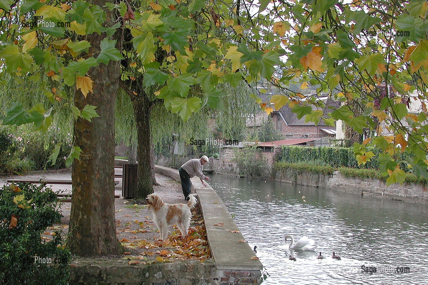 BORDS DE LA CHARENTONNE, BROGLIE, EURE (27), NORMANDIE, FRANCE 