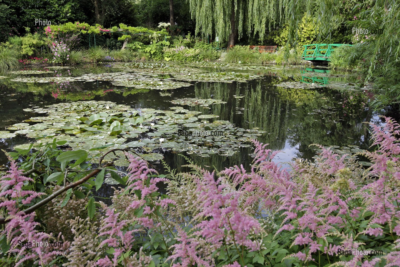 ETANG DES NYMPHEAS, JARDIN D'EAU DU PEINTRE IMPRESSIONNISTE CLAUDE MONET, GIVERNY, EURE (27), FRANCE 