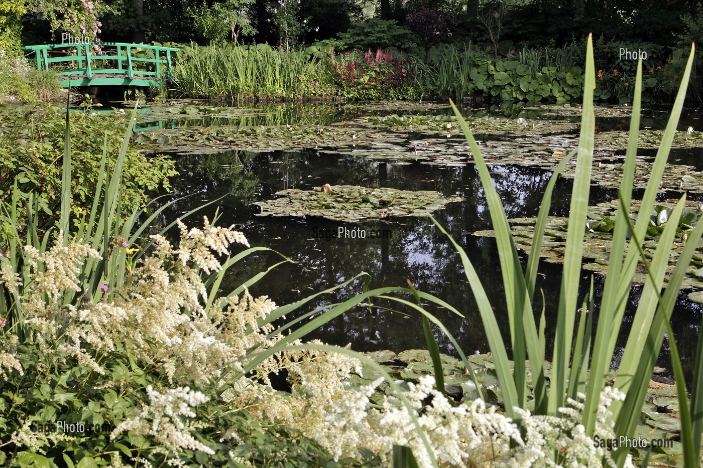 ETANG DES NYMPHEAS, JARDIN D'EAU DU PEINTRE IMPRESSIONNISTE CLAUDE MONET, GIVERNY, EURE (27), FRANCE 