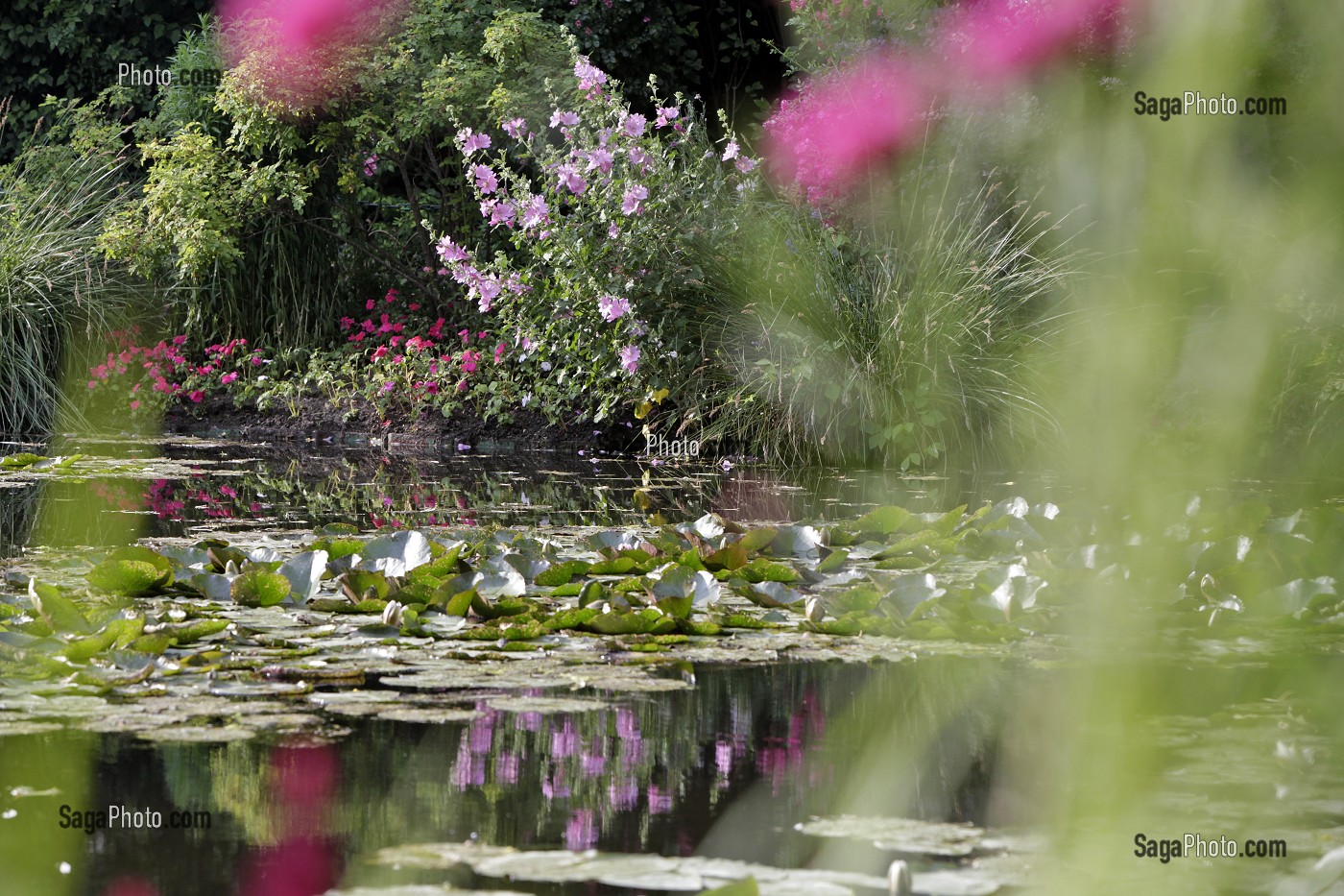 ETANG DES NYMPHEAS, JARDIN D'EAU DU PEINTRE IMPRESSIONNISTE CLAUDE MONET, GIVERNY, EURE (27), FRANCE 