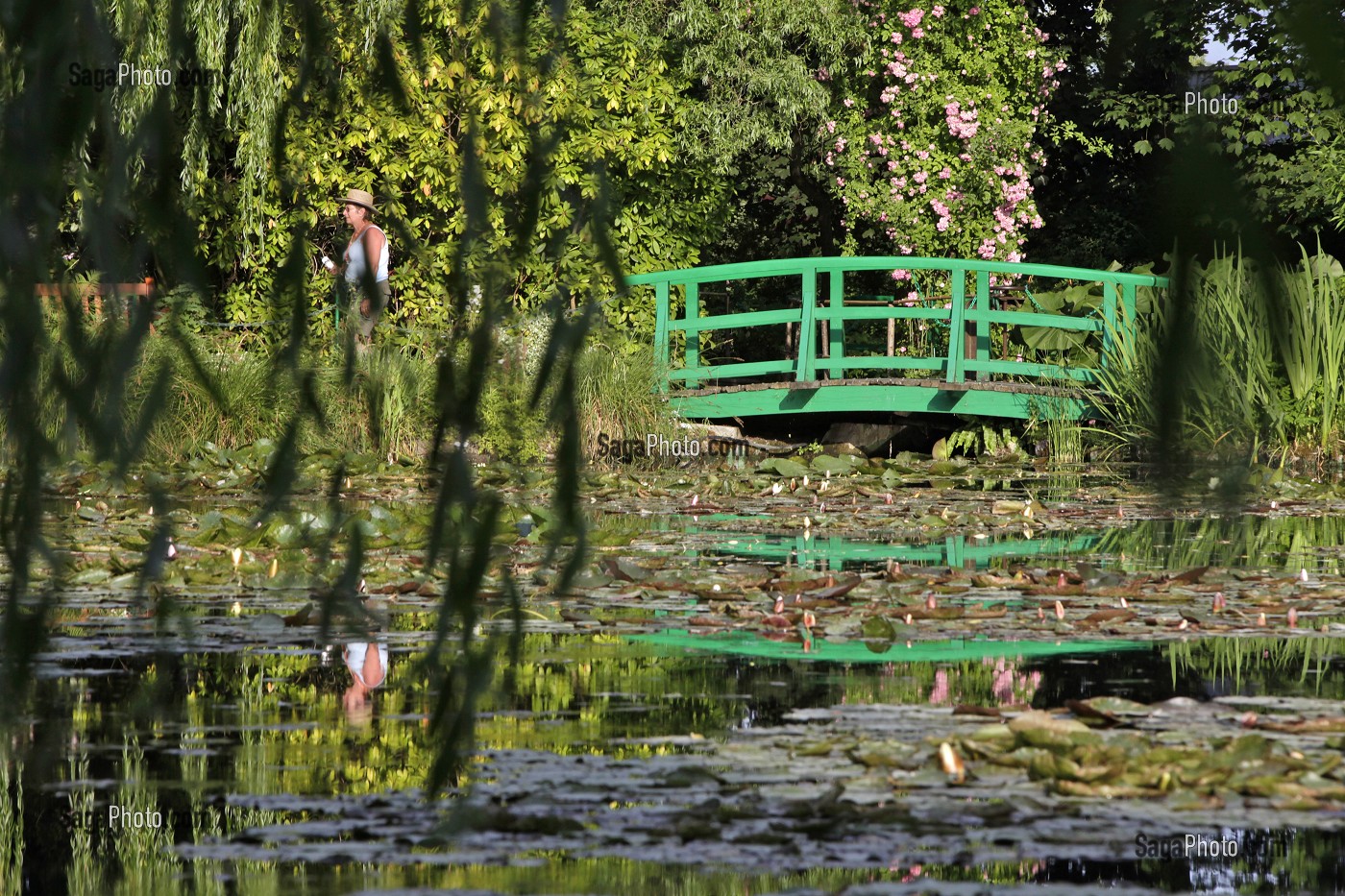 PONT JAPONAIS ET ETANG AUX NYMPHEAS DANS LE JARDIN D'EAU DU PEINTRE IMPRESSIONNISTE CLAUDE MONET, GIVERNY, EURE (27), FRANCE 