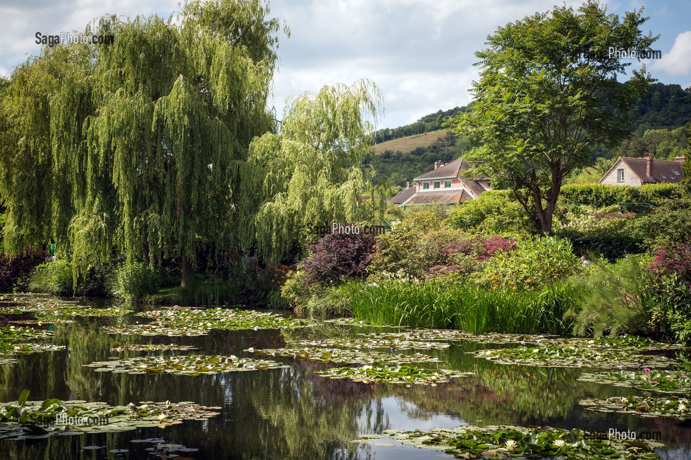 JARDIN D'EAU ET SES NYMPHEAS (NENUPHARS SUR L'ETANG), MAISON DU PEINTRE IMPRESSIONNISTE CLAUDE MONET, GIVERNY, EURE (27), NORMANDIE, FRANCE 